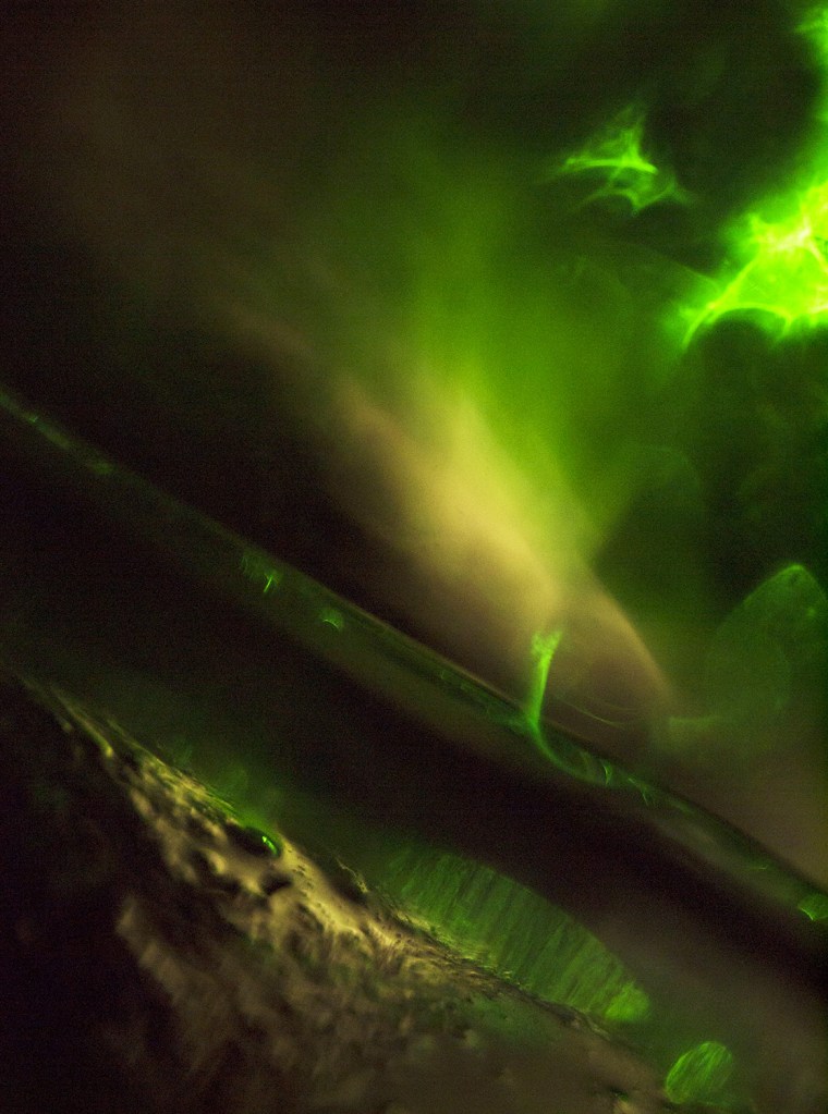 Darron Davies (Australian) 'Emanation' 2016