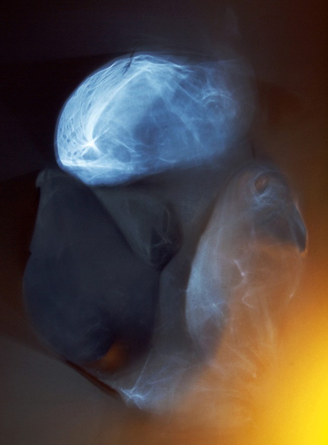 Darron Davies (Australian) 'Embodiment' 2016