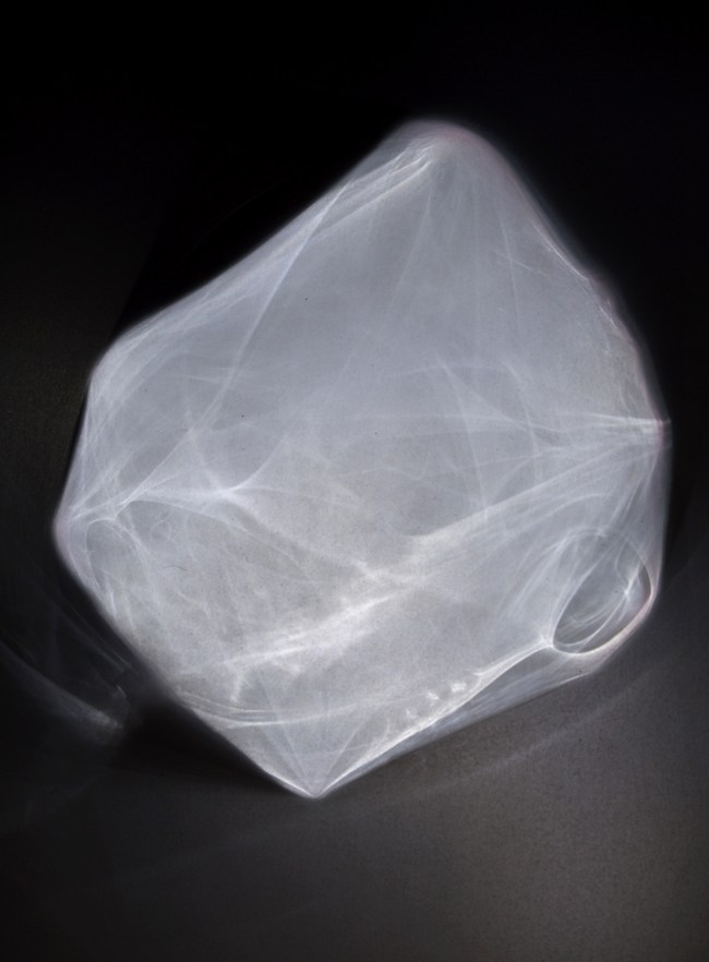 Darron Davies (Australian) 'Frame' 2016