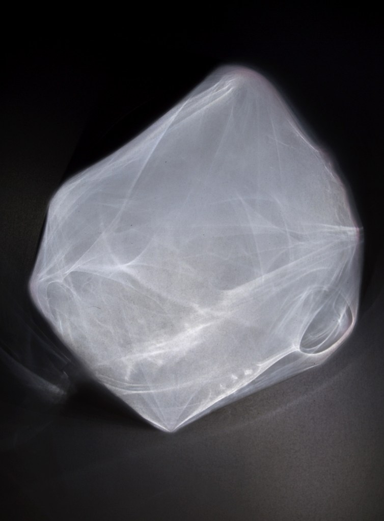 Darron Davies (Australian) 'Frame' 2016