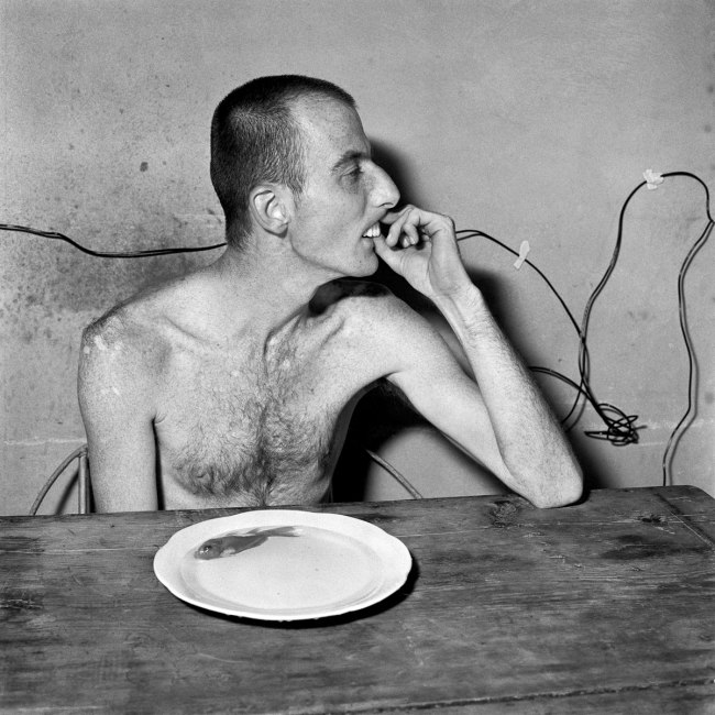Roger Ballen (South African born America, b. 1950) 'Lunchtime' 2001