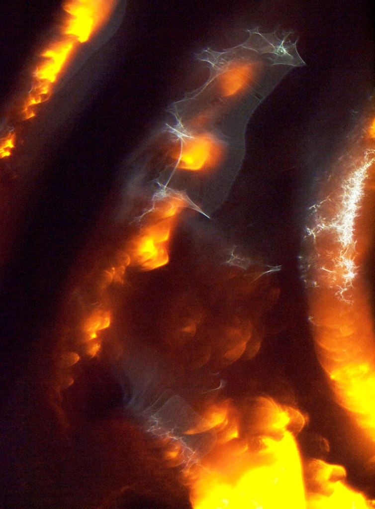 Darron Davies (Australian) 'The Break' 2016