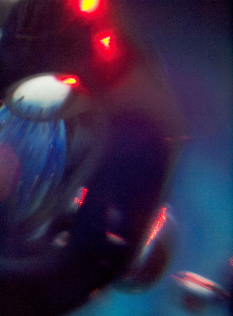 Darron Davies (Australian) 'Unbridle' 2016