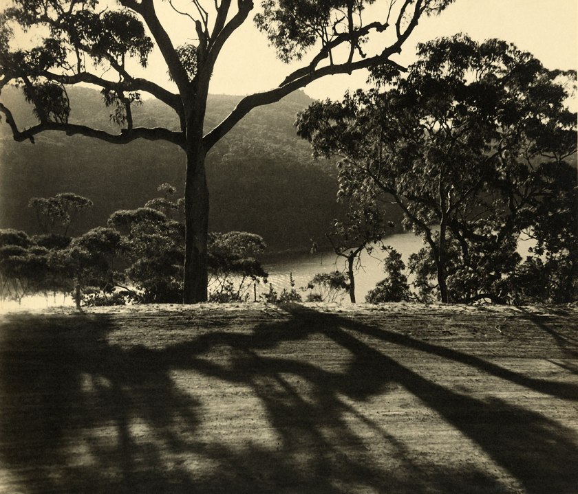 Olive Cotton (Australian, 1911 - 2003) 'The patterned road' 1938