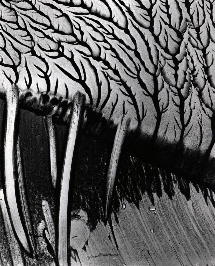 Brett Weston (American, 1911-1993) 'Cracked Paint' 1937 (printed later)