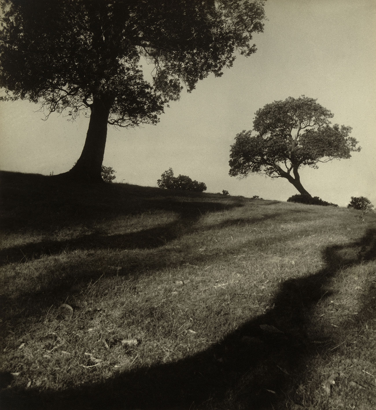 Max Dupain (Australian, 1911-1992) 'Bawley Point landscape' 1938 Max Dupain (Australian, 1911-1992) 'Bawley Point landscape' 1938