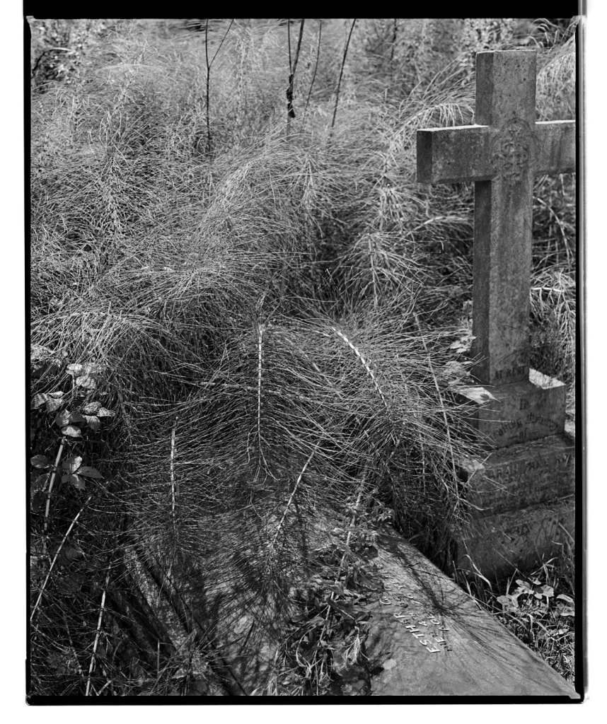 Marcus Bunyan (Australian, b. 1958) 'Esther' 1994