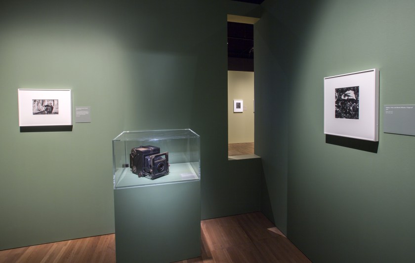 Installation photograph of the exhibition 'Paul Strand: Photography and Film for the 20th Century' at the Victoria & Albert Museum, London