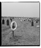 Marcus Bunyan. 'IOTA, 1893, Napoli, Cantanese Domenico, age 14 with gravestones' 1993