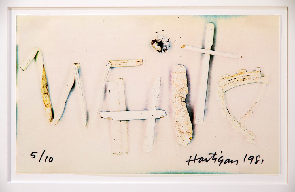 Detail of Paul Hartigan (New Zealand) 'Colourwords' 1980-81 as part of the exhibition 'Emanations: The Art of the Cameraless Photograph' at the Govett-Brewster Art Gallery