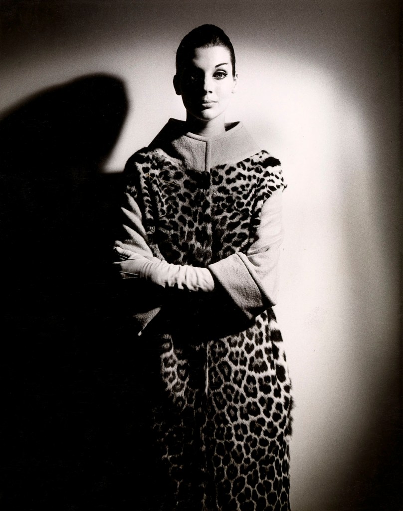 Henry Talbot (Germany 1920 - Australia 1999, Australia from 1940) 'No title (Fashion illustration, model Maggie Tabberer wearing ocelot coat)' 1961-1966