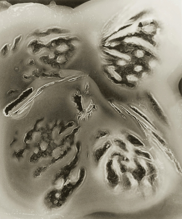 Běla Kolářová (Czechoslovakia, 1923-2010) 'Pecky broskve' (z 'cyklu' Stopy) 'Peach Stones' (From 'Traces' series) 1961