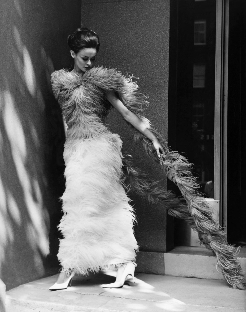 Henry Talbot (Germany 1920 - Australia 1999, Australia from 1940) 'No title (Fashion illustration model wearing long feather dress)' 1961-1966 