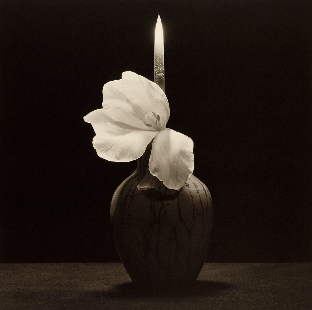 Robert Mapplethorpe (American, 1946-1989) 'Flower With Knife' 1985