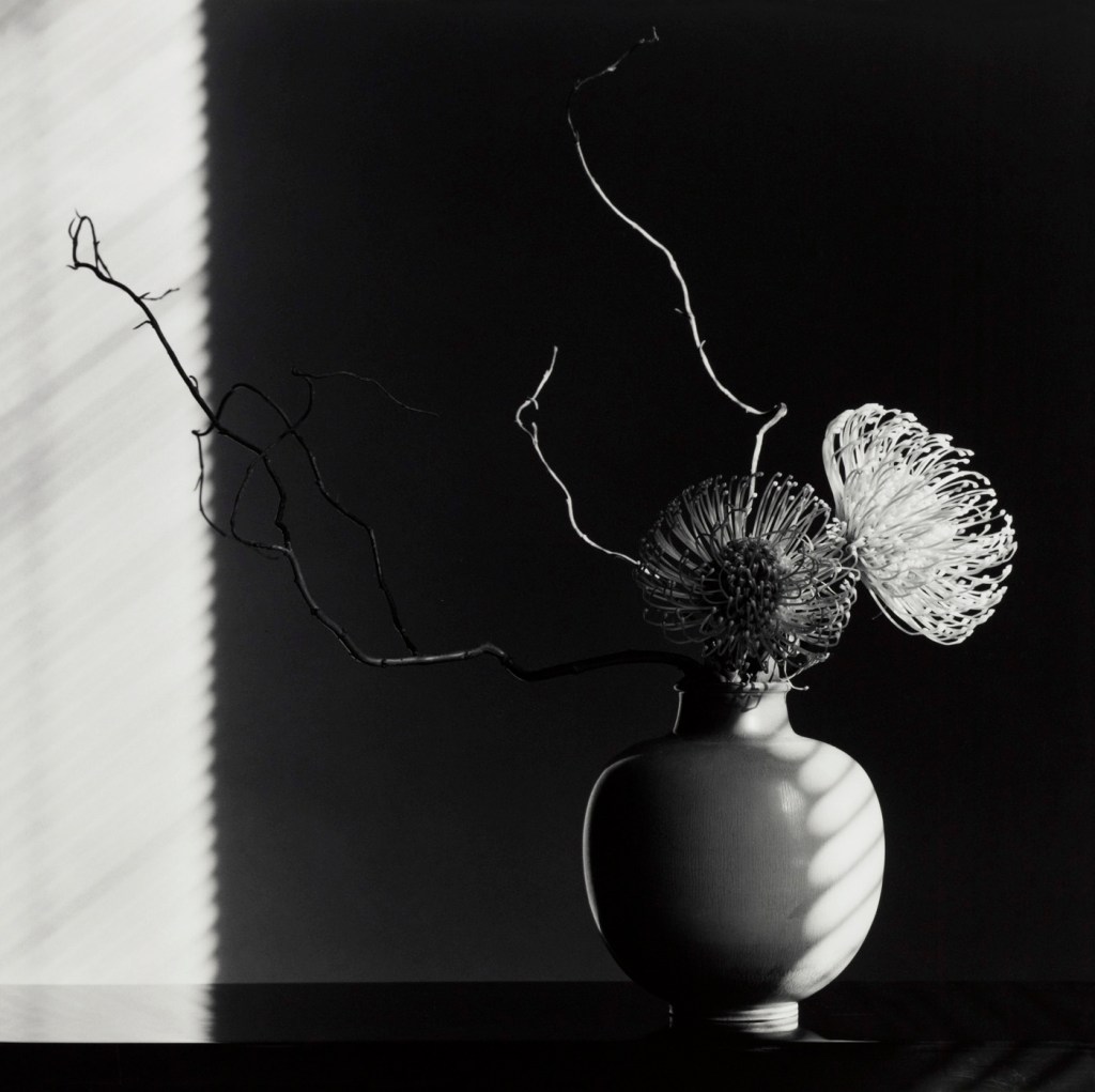 Robert Mapplethorpe (American, 1946-1989) 'Flower Arrangement' 1986
