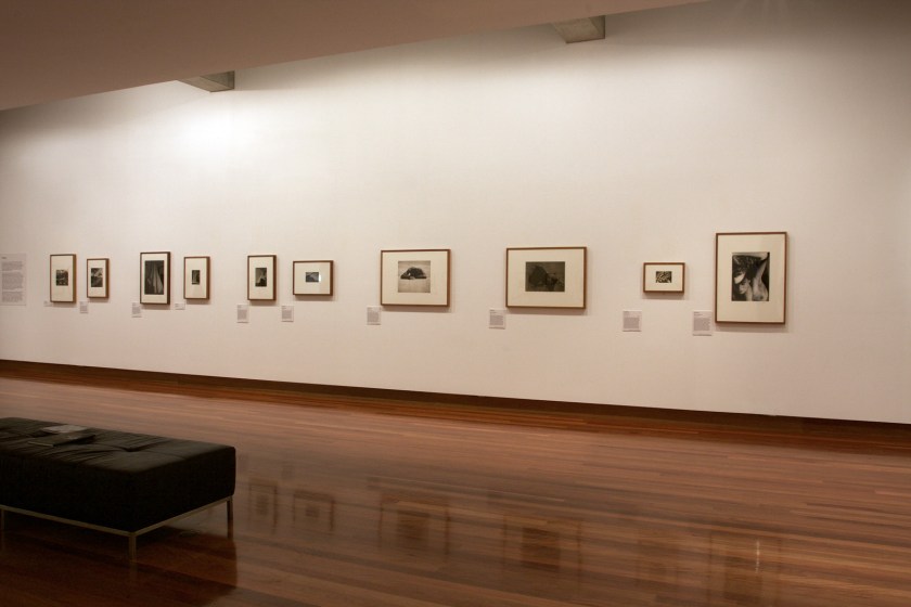 Installation view of the exhibition 'Max and Olive: The photographic life of Olive Cotton and Max Dupain' at The Ian Potter Museum of Art, Melbourne