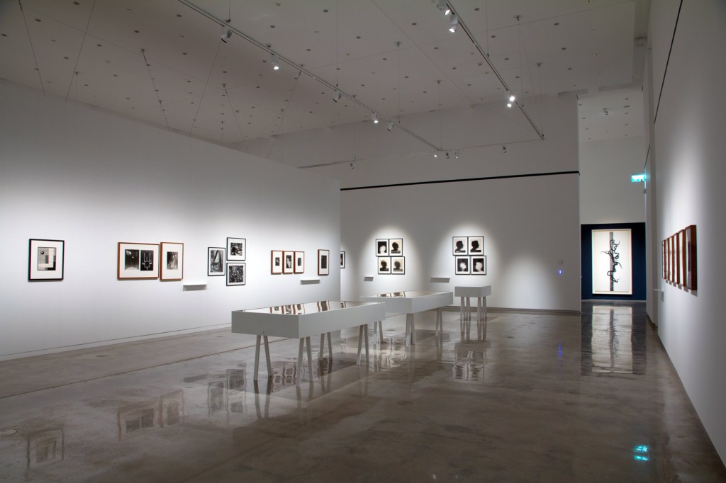 Installation view of the exhibition 'Emanations: The Art of the Cameraless Photograph' at the Govett-Brewster Art Gallery