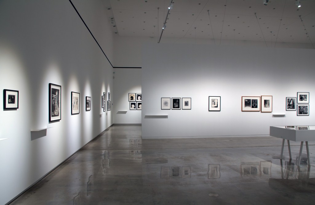Installation view of the exhibition 'Emanations: The Art of the Cameraless Photograph' at the Govett-Brewster Art Gallery