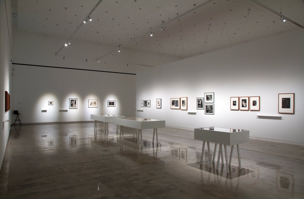 Installation view of the exhibition 'Emanations: The Art of the Cameraless Photograph' at the Govett-Brewster Art Gallery