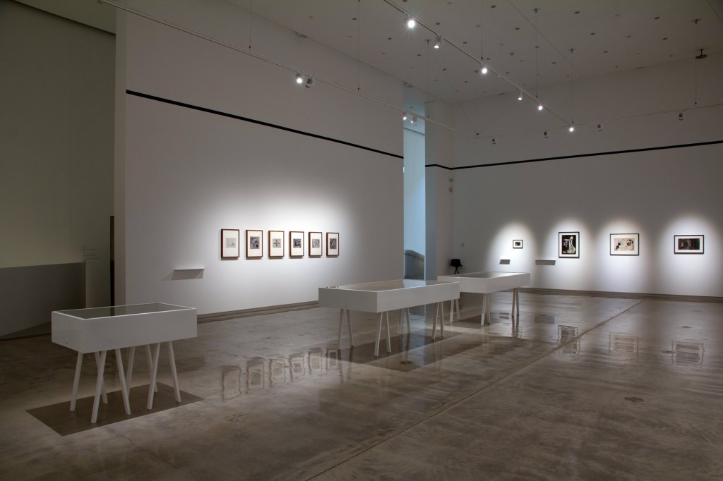 Installation view of the exhibition 'Emanations: The Art of the Cameraless Photograph' at the Govett-Brewster Art Gallery