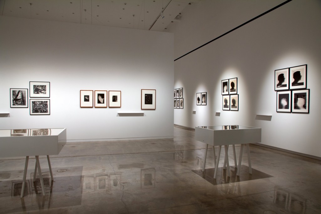 Installation view of the exhibition 'Emanations: The Art of the Cameraless Photograph' at the Govett-Brewster Art Gallery