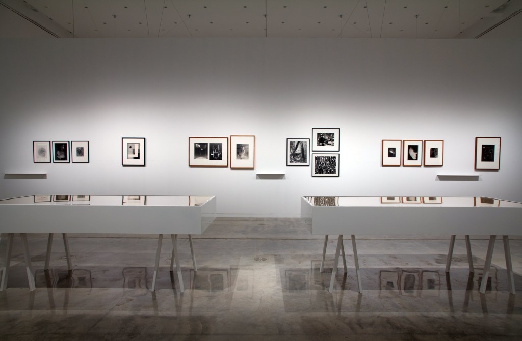 Installation view of the exhibition 'Emanations: The Art of the Cameraless Photograph' at the Govett-Brewster Art Gallery