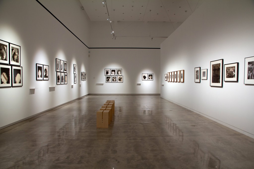 Installation view of the exhibition 'Emanations: The Art of the Cameraless Photograph' at the Govett-Brewster Art Gallery