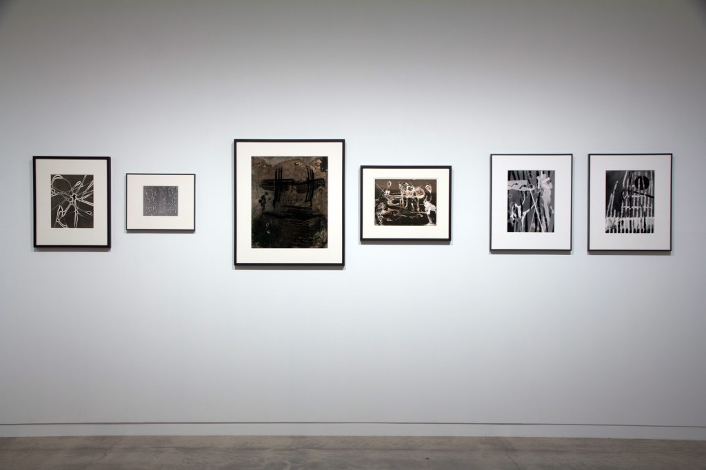 Installation view of the exhibition 'Emanations: The Art of the Cameraless Photograph' at the Govett-Brewster Art Gallery