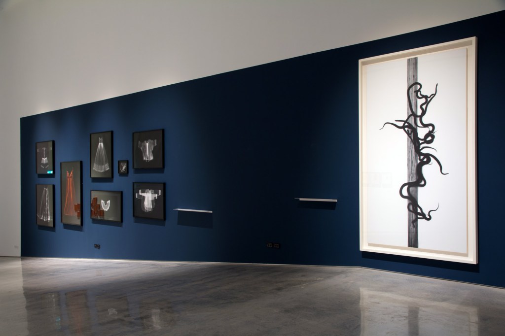 Installation view of the exhibition 'Emanations: The Art of the Cameraless Photograph' at the Govett-Brewster Art Gallery with, at left, Anne Ferran and, at right, Adam Fuss