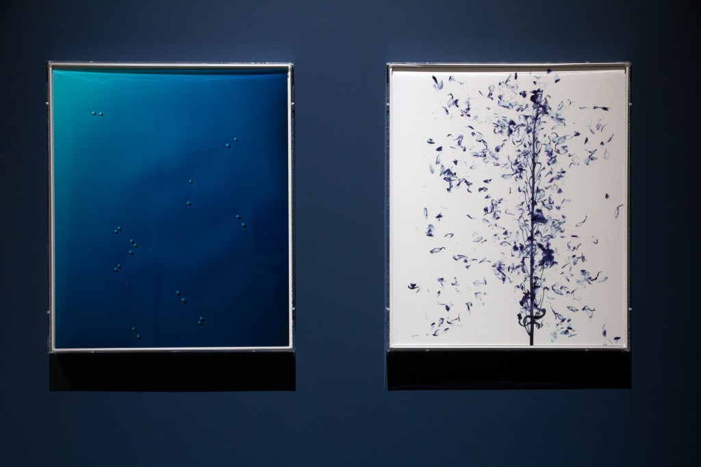 Adam Fuss both 'Untitled' 1989