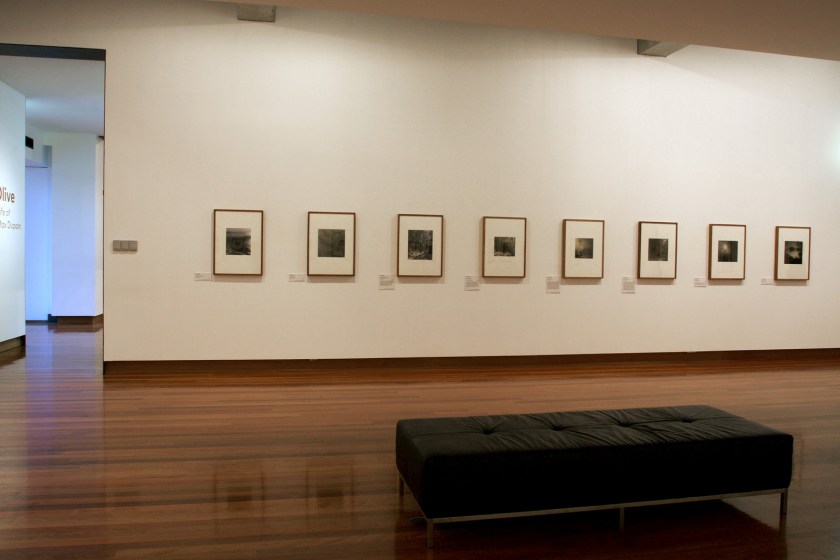 Installation view of the exhibition 'Max and Olive: The photographic life of Olive Cotton and Max Dupain' at The Ian Potter Museum of Art, Melbourne
