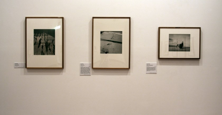 Installation view of the exhibition 'Max and Olive: The photographic life of Olive Cotton and Max Dupain' at The Ian Potter Museum of Art, Melbourne