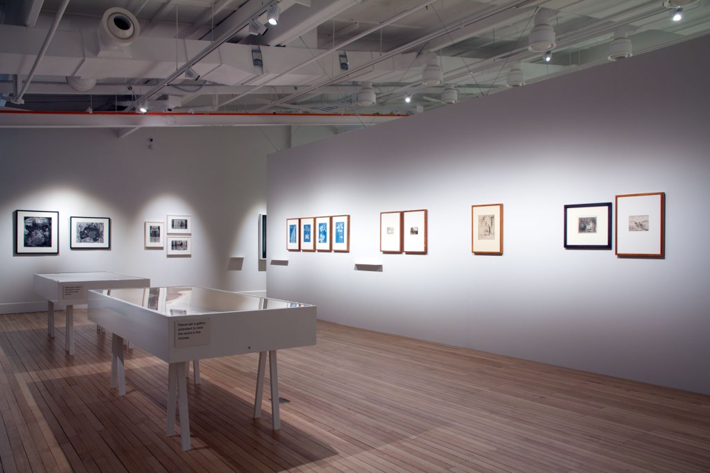 Installation view of the exhibition 'Emanations: The Art of the Cameraless Photograph' at the Govett-Brewster Art Gallery