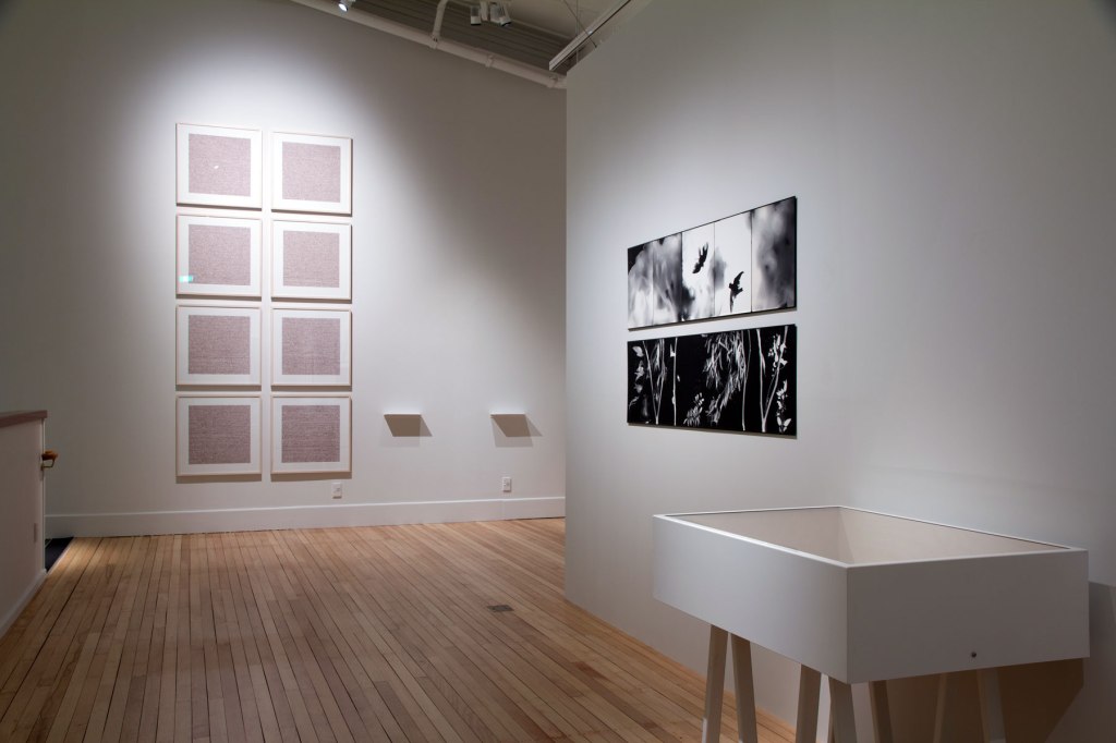 Installation view of the exhibition 'Emanations: The Art of the Cameraless Photograph' at the Govett-Brewster Art Gallery