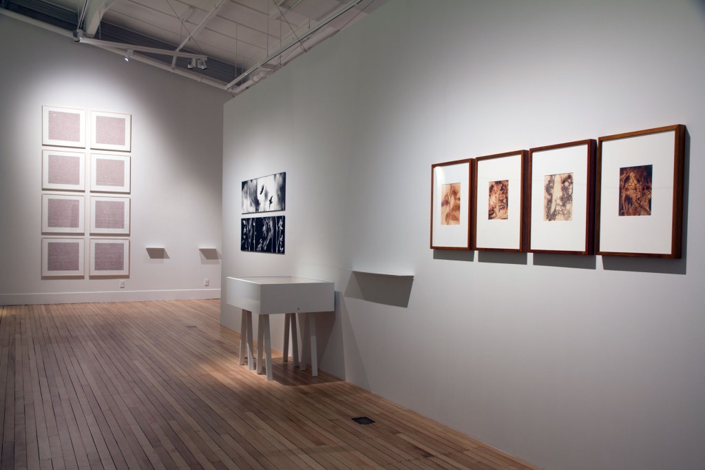 Installation view of the exhibition 'Emanations: The Art of the Cameraless Photograph' at the Govett-Brewster Art Gallery