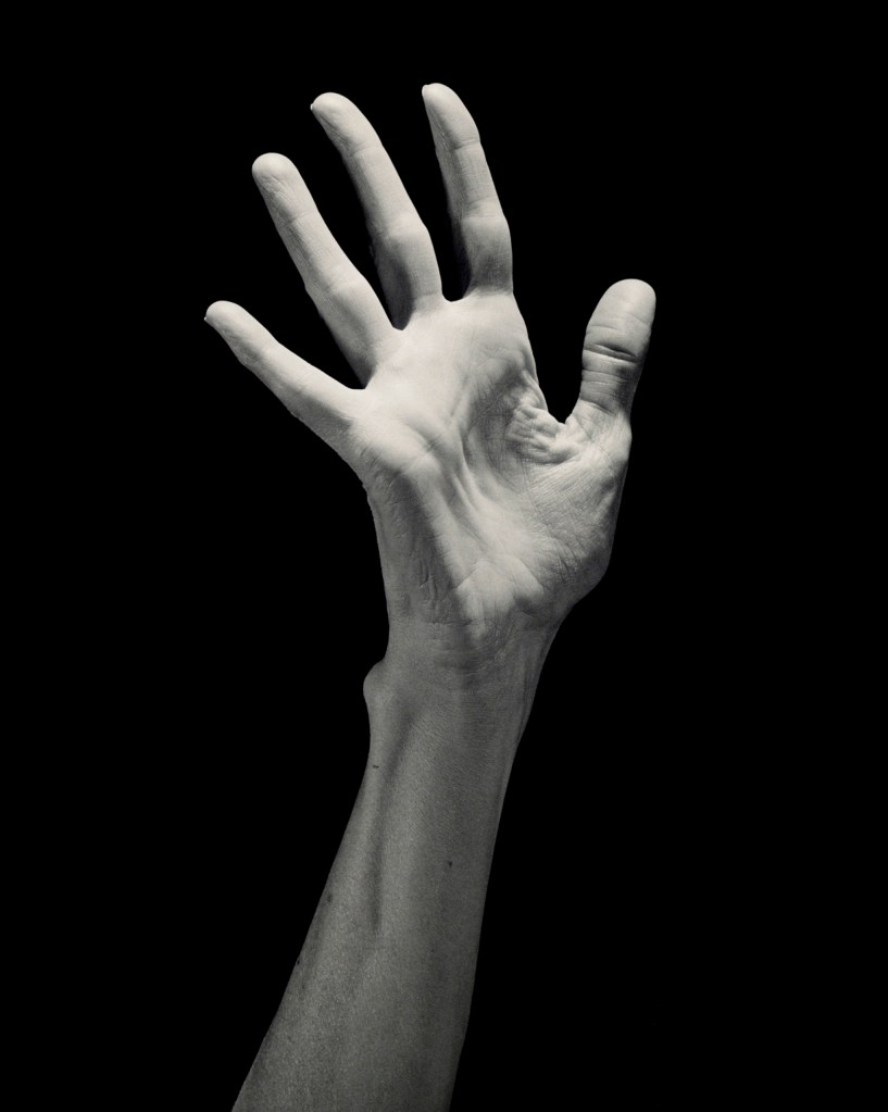 Robert Mapplethorpe (American, 1946-1989) 'Lucinda's Hand' 1985