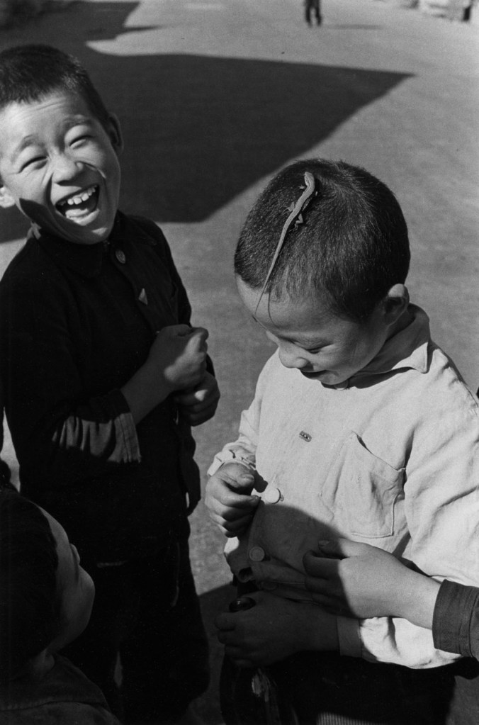 Ken Domon (Japanese, 1909-1990) 'Lucertola [Lizard]' 1955