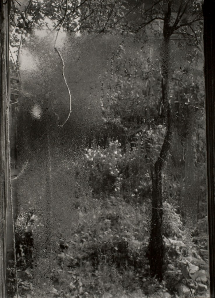 Josef Sudek (Czech, 1896-1976) 'Quatre saisons: l'été' [Four seasons: summer] c. 1940-1954