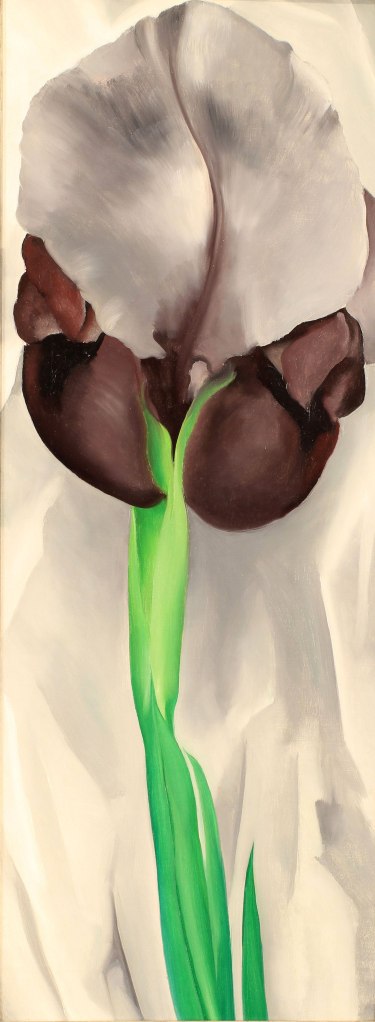 Georgia O'Keeffe (American, 1887-1986) 'Dark Iris No. 1' 1927