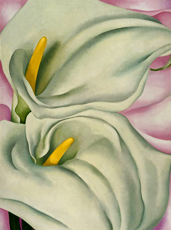 Georgia O'Keeffe (American, 1887-1986) 'Two Calla Lilies on Pink' 1928