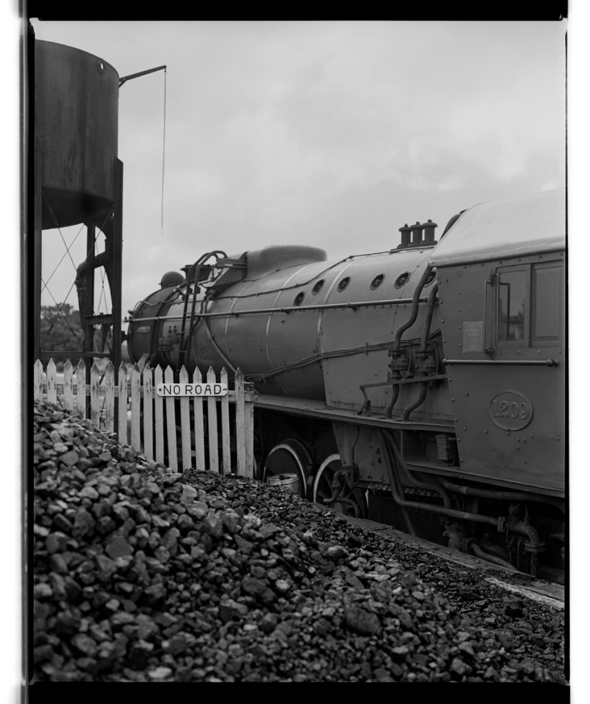 Marcus Bunyan (Australian, b. 1958) 'Untitled' from the series 'Études' 1994