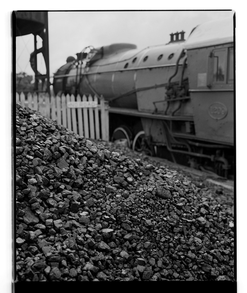 Marcus Bunyan (Australian, b. 1958) 'Untitled' from the series 'Études' 1994