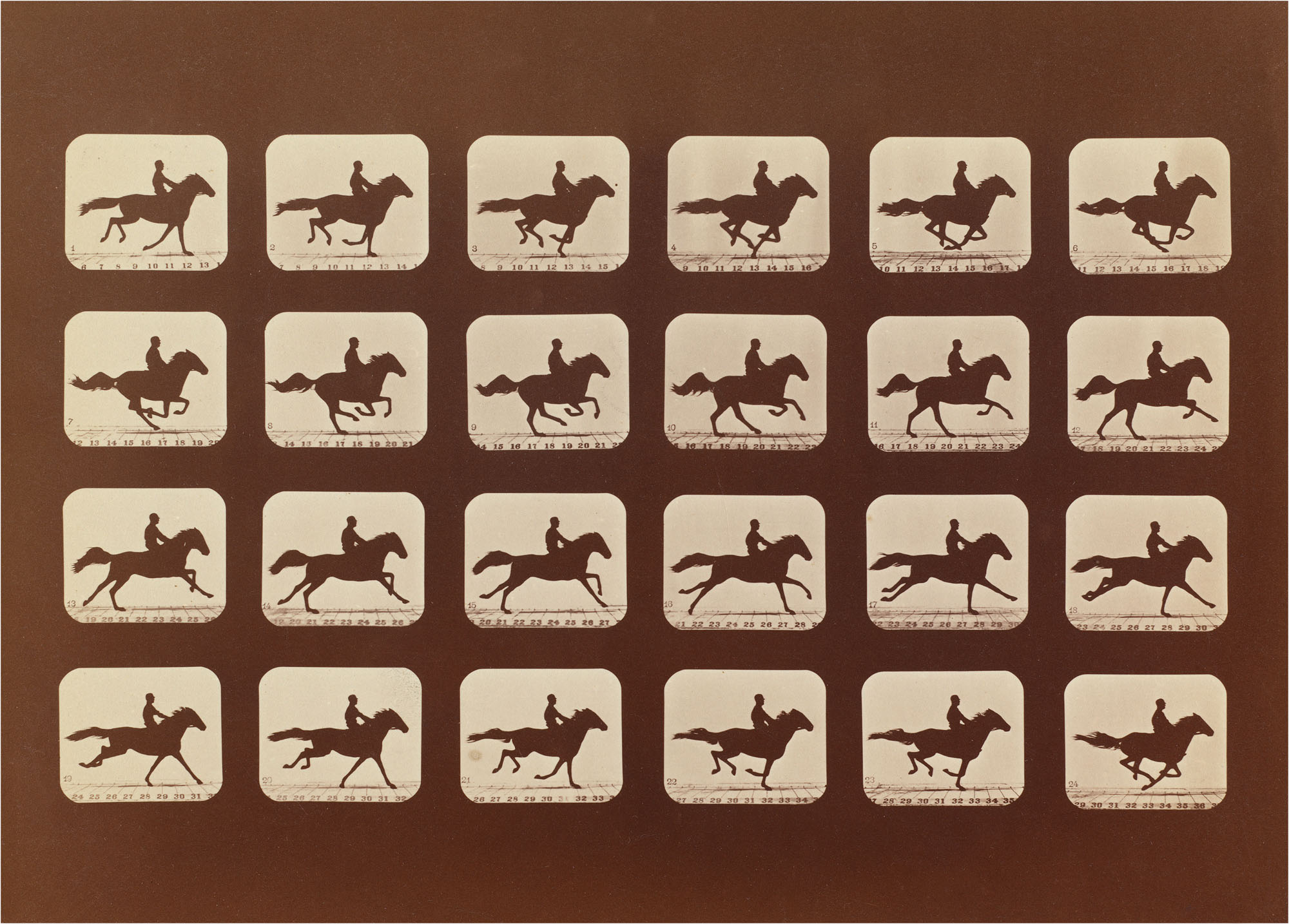 Eadweard Muybridge (English, 1830-1904) 'Horses. Running. Phyrne L. No. 40, from The Attitudes of Animals in Motion' 1879