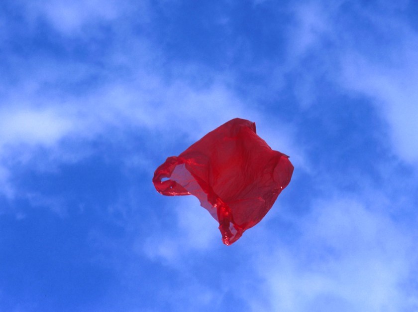 Dennis Adams. 'Patriot' 2002