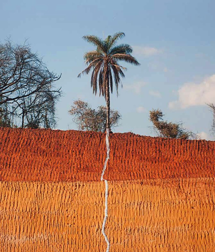 Pedro Motta. 'Natureza das coisas #024, (The nature of things #024)' 2013