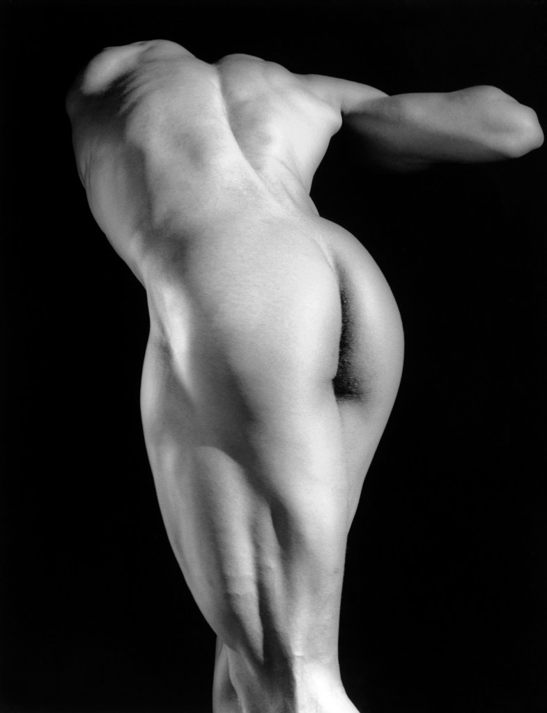 Robert Mapplethorpe (American, 1946-1989) 'Michael Reed' 1987