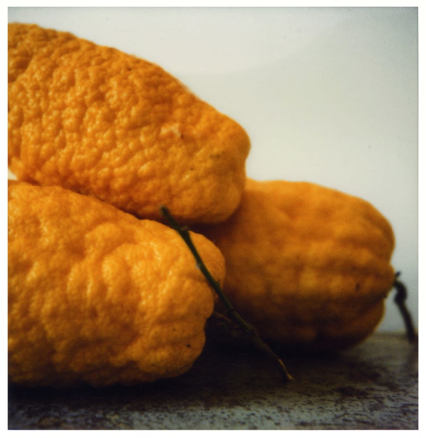 Cy Twombly 'Lemons (Gaète)' (detail) 1998