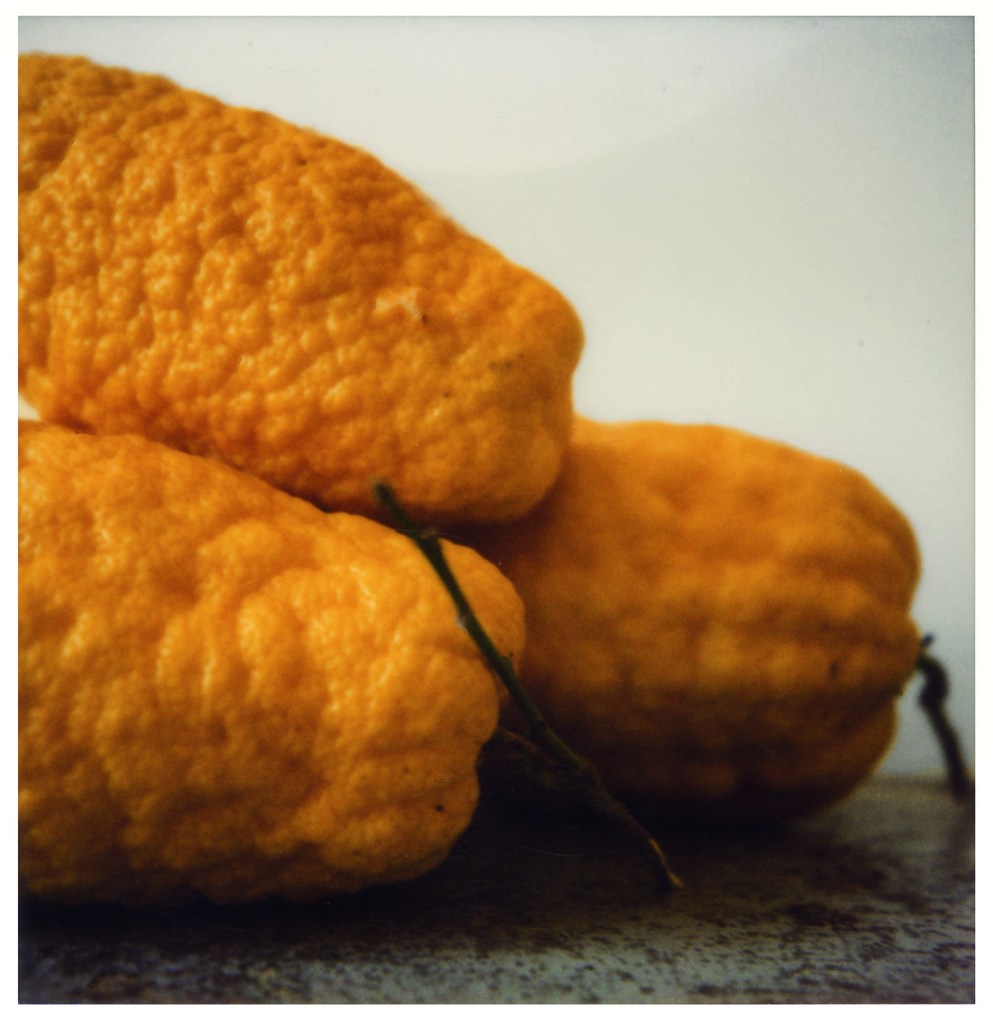 Cy Twombly (American, 1928-2011) 'Lemons (VI)' (Gaète) (detail) 1998