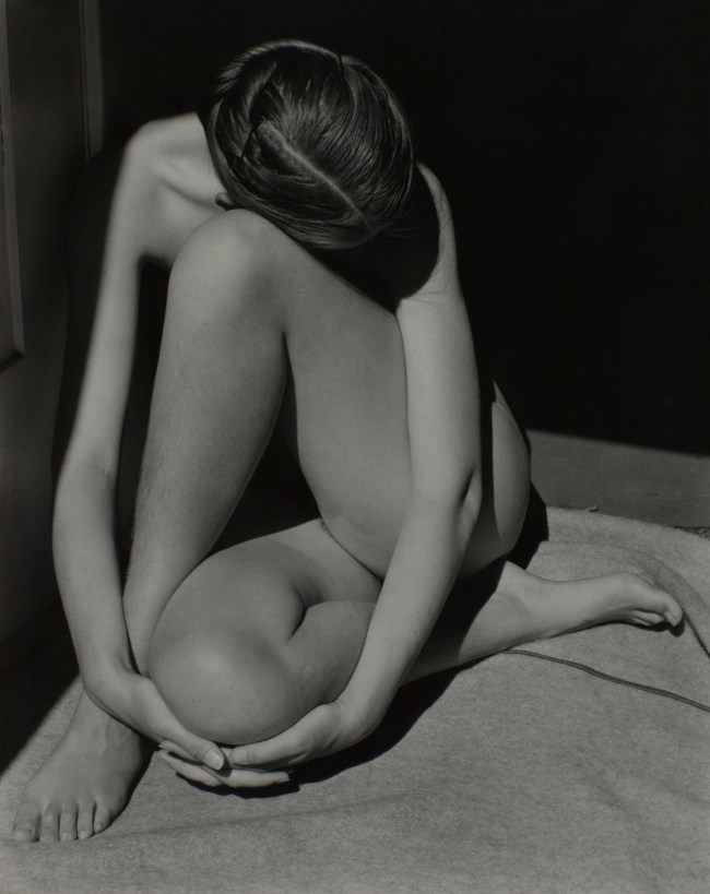Edward Weston (American, 1886-1958) 'Nude' 1936