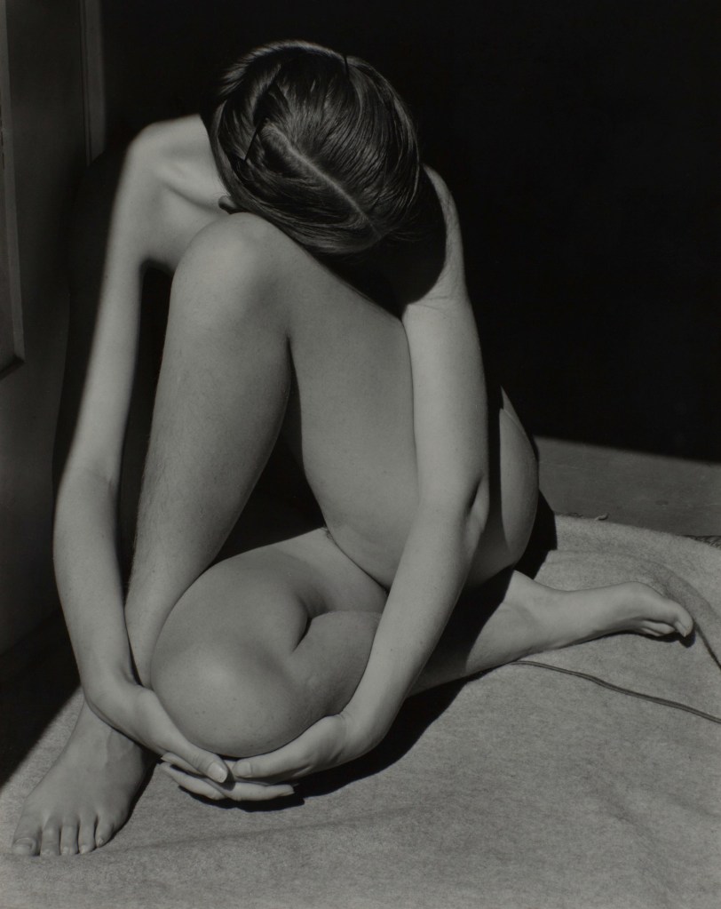 Edward Weston (American, 1886-1958) 'Nude' 1936